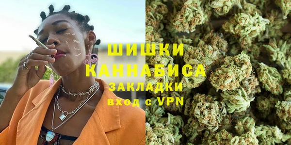 ГАЛЛЮЦИНОГЕННЫЕ ГРИБЫ Аркадак