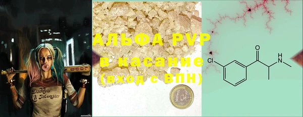 ГАЛЛЮЦИНОГЕННЫЕ ГРИБЫ Аркадак