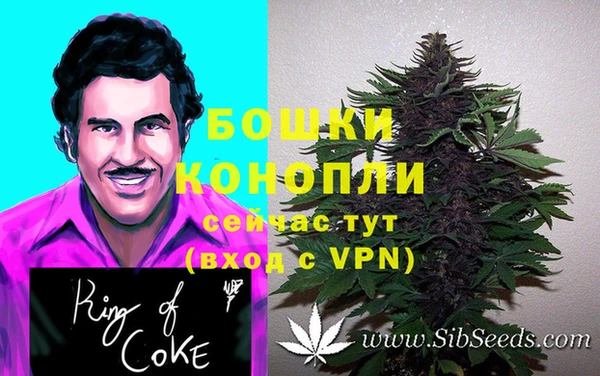 ГАЛЛЮЦИНОГЕННЫЕ ГРИБЫ Аркадак