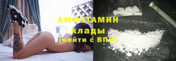ГАЛЛЮЦИНОГЕННЫЕ ГРИБЫ Аркадак