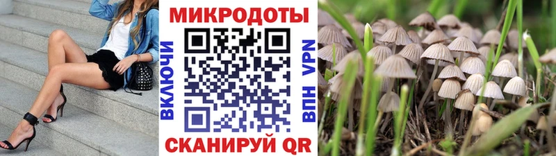 купить  сайты  Усть-Лабинск  MEGA   Псилоцибиновые грибы Psilocybine cubensis 